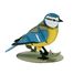 3D Paper model - Blue tit FR-11764 Fridolin 2
