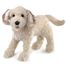 Handpuppet Labradoodle dog FO-3136 Folkmanis 1