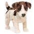 Handpuppet Jack Russel Terrier dog FO-2848 Folkmanis 1
