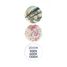 Microscope 40 experiments BUK-MR800 Buki France 4