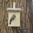 Nest box great tit ED-NKK Esschert Design 4