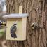 Nest box great tit ED-NKK Esschert Design 5