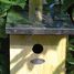 Nest box great tit ED-NKK Esschert Design 6