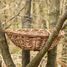 Long-eared owl basket ED-NK90 Esschert Design 2