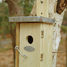 Nest box wren ED-NKN Esschert Design 1