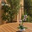 Floral Pot Orchid 237 pieces C59028W CaDA 3