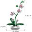 Floral Pot Orchid 237 pieces C59028W CaDA 4