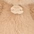 Teddy Bear honey almond 38 cm HO3386 Histoire d'Ours 11