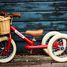 Bicycle Basket TBS-200-BSK Trybike 2