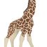 Giraffe Calf figure PA-50100 Papo 6