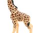 Giraffe Calf figure PA-50100 Papo 5