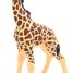 Giraffe Calf figure PA-50100 Papo 4