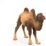 Bactrian Camel Figurine PA50129-3371 Papo 2