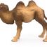 Bactrian Camel Figurine PA50129-3371 Papo 5