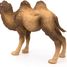 Bactrian Camel Figurine PA50129-3371 Papo 6