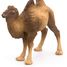 Bactrian Camel Figurine PA50129-3371 Papo 4