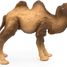 Bactrian Camel Figurine PA50129-3371 Papo 7