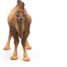 Bactrian Camel Figurine PA50129-3371 Papo 3