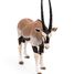 Oryx Antelope figure PA50139-4529 Papo 5