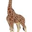 giraffe male figure PA50149-3612 Papo 5