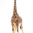 giraffe male figure PA50149-3612 Papo 3