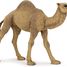 Dromedary figure PA50151-3375 Papo 6