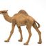 Dromedary figure PA50151-3375 Papo 5