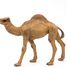 Dromedary figure PA50151-3375 Papo 4