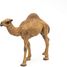 Dromedary figure PA50151-3375 Papo 3