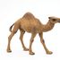 Dromedary figure PA50151-3375 Papo 1