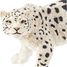 Snow leopard figure PA50160-3925 Papo 3