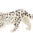 Snow leopard figure PA50160-3925 Papo 1