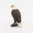 Eagle Figurine PA50181-5209 Papo 6