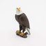 Eagle Figurine PA50181-5209 Papo 4