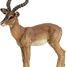 Impala figure PA50186 Papo 6