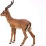 Impala figure PA50186 Papo 5