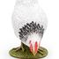 Pecking White Hen Figurine PA51160-3621 Papo 2