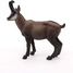 Chamois figurine PA53017-4540 Papo 3