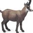 Chamois figurine PA53017-4540 Papo 1