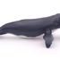 Humpback whale figure PA56001-2933 Papo 2