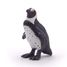 Cape Penguin Figurine PA56017 Papo 5