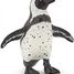 Cape Penguin Figurine PA56017 Papo 6