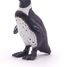 Cape Penguin Figurine PA56017 Papo 3