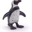 Cape Penguin Figurine PA56017 Papo 2