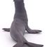 sea lion figure PA56025-4755 Papo 4