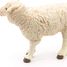 Merino sheep figure PA51041-2941 Papo 4