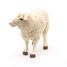 Merino sheep figure PA51041-2941 Papo 3