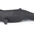 Sperm whale figure PA56036 Papo 3