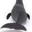 Sperm whale figure PA56036 Papo 5