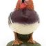 Mandarin duck figure PA51166 Papo 2